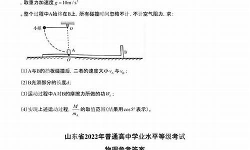 新高考山东考哪个试卷_新高考山东考什么卷