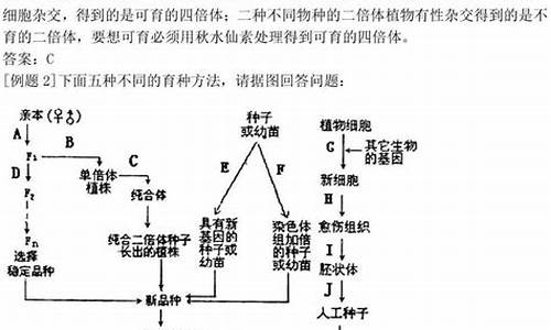 高考遗传大题_高考遗传大题难题