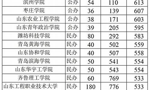 山东本科分数线2020高考_山东本科分数线2020高考分数线