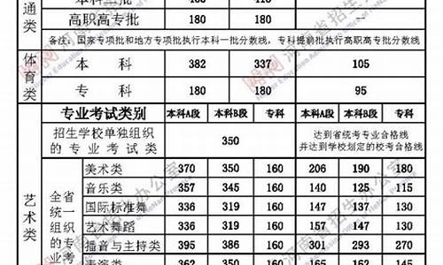 河南省艺术本科提前批文化课分数,河南高考艺术本科提前批