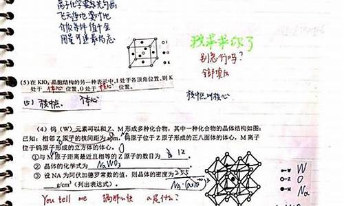 高考改错题集,新高考改错题