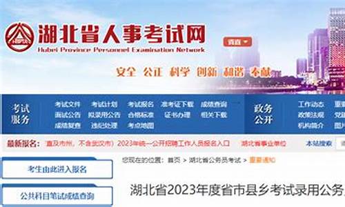 湖北省体考成绩查询2021,湖北省体考分数查询