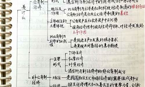 政治高考笔记_2021高考政治全套必考重点知识总结宝典