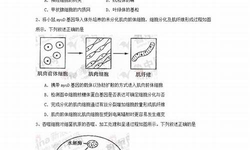 山东 高考 化学 2021_2024山东高考理综化学