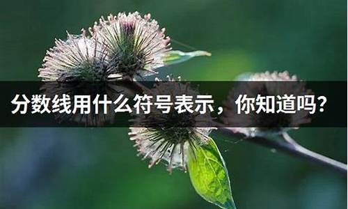 分数线用什么表示_分数线的表示什么